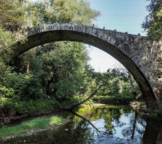 Hani Beriki Bridge Dendrochori