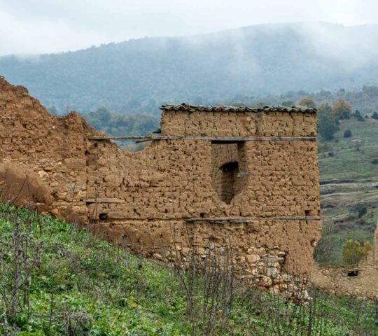 Παλιά Λεύκη