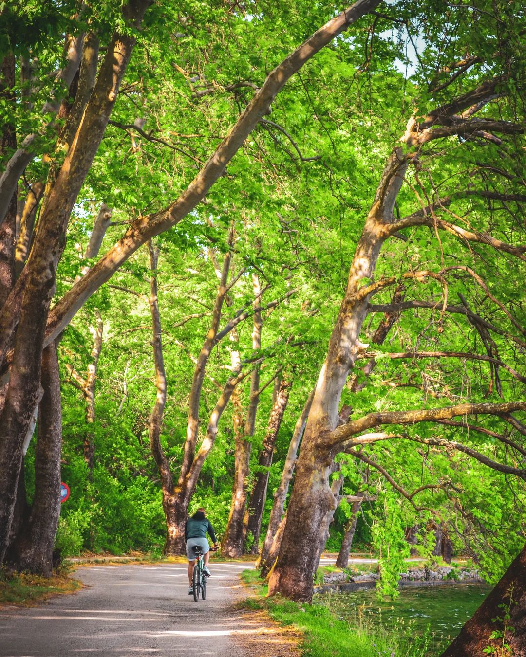 Admiring the mesmerizing nature on a bike ride.

__…