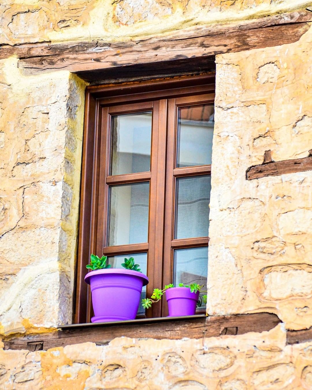 ❈ Little details make Kastoria captivating!

/ 𝒀𝒐𝒖 𝒂𝒓𝒆 𝒉𝒆𝒓𝒆 /

__
#kastoriayouar…