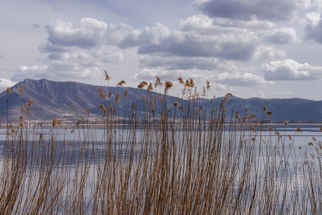 October lake views 

/ 𝒀𝒐𝒖 𝒂𝒓𝒆 𝒉𝒆𝒓𝒆 /

__…