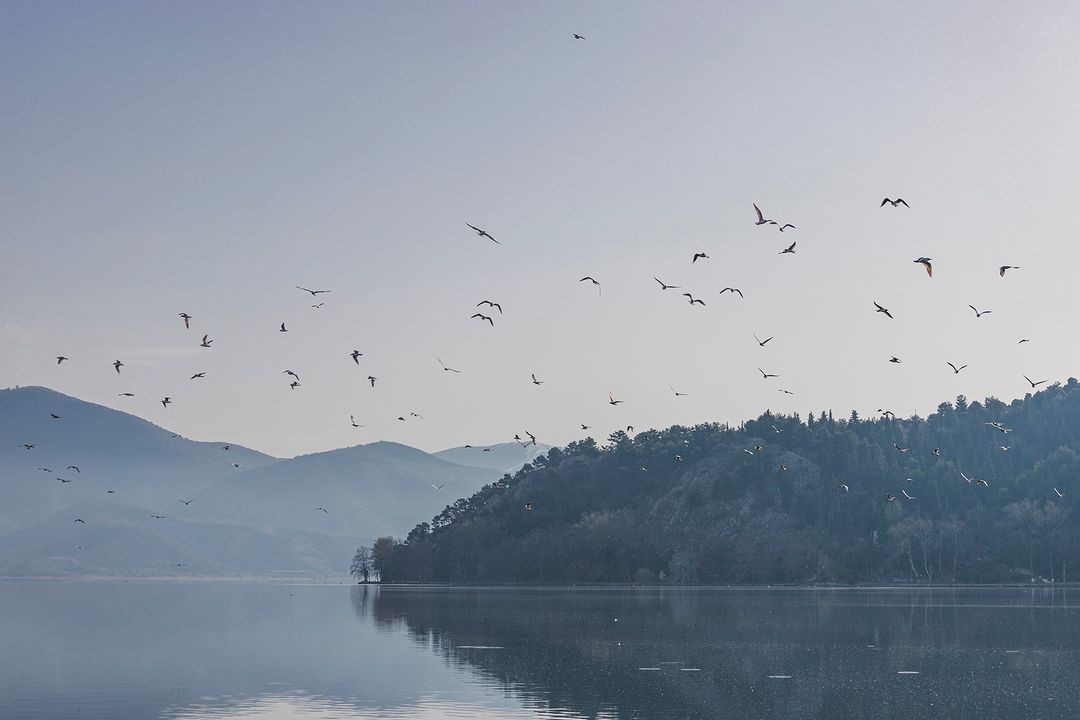 ❈The early bird catches the view

  lake

/ 𝒀𝒐𝒖 𝒂𝒓𝒆 𝒉𝒆𝒓𝒆 /

__…