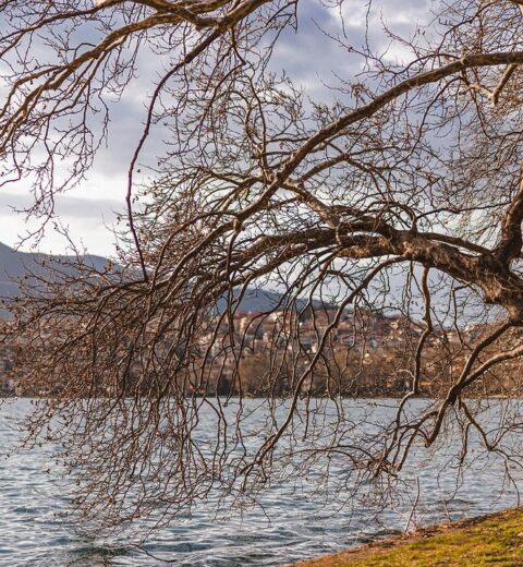 In Kastoria’s mansions, we find the decoration of the traditional folk art of th…