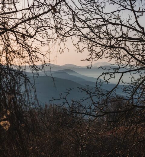 Look at this beautiful scenery in a Natura-protected area. 

A visit will give y…