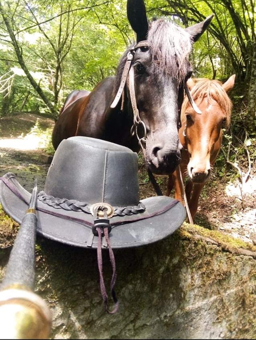Riding in nature
